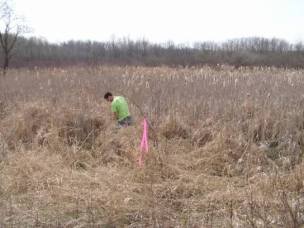 Environmental Engineering Services Ohio and Pennsylvania  - wetland_delineation